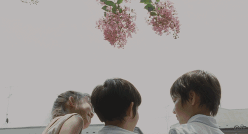5214.gif