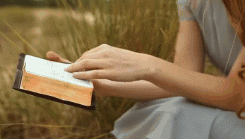 6.gif