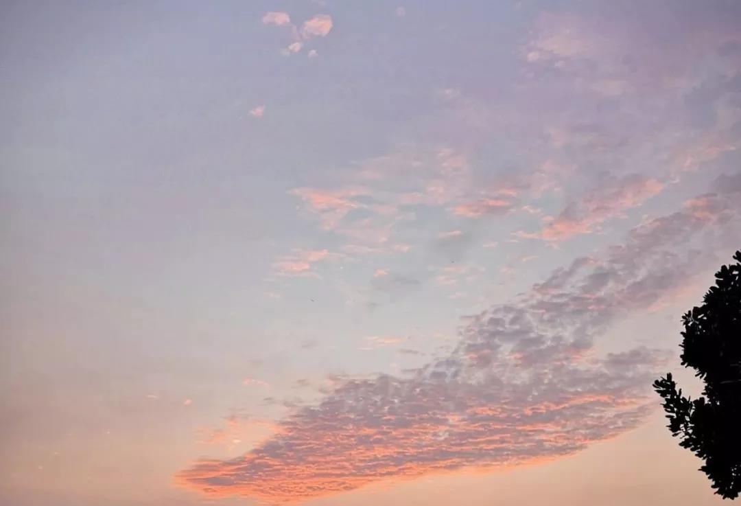 微信图片_20191228135935.jpg 微信图片_20191228135935.jpg