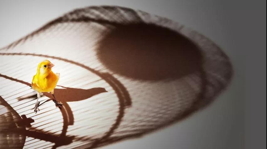 微信图片_20200308162950.jpg 微信图片_20200308162950.jpg